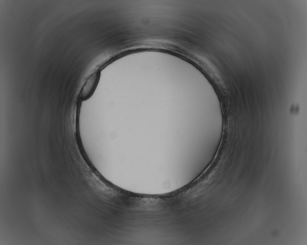 X0000089421180200707131816