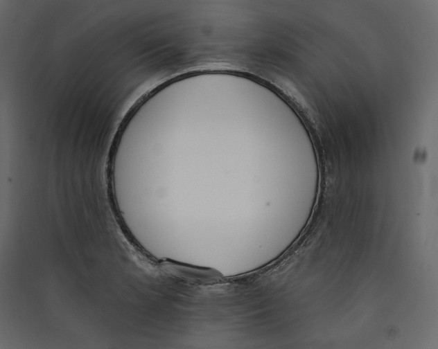 X0000089421181200707131816