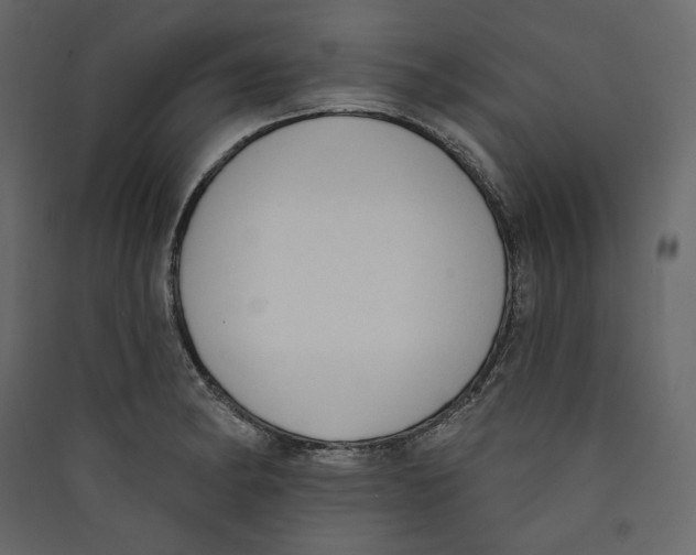 X0000089421182200707131816