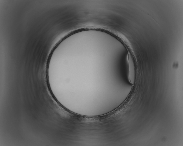 X0000089421183200707131816