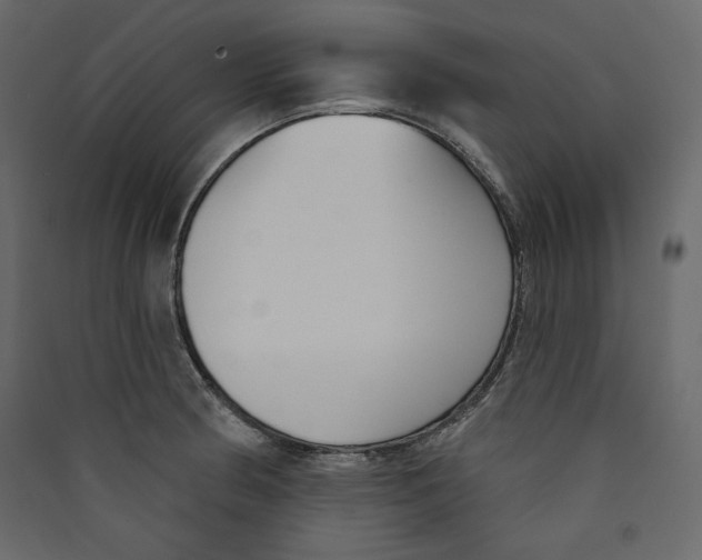 X0000089421186200707131816