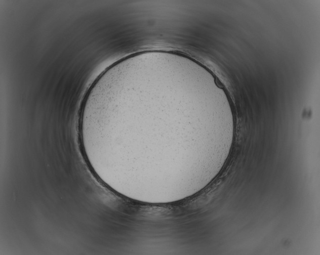 X0000089421187200707131816