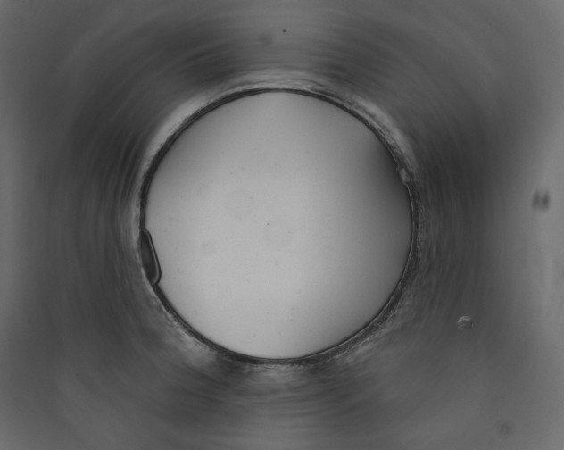 X0000089421188200707131816