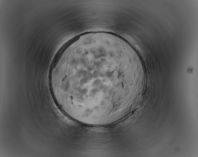 X0000089421189200707131816