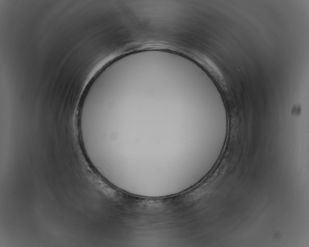 X0000089421190200707131816
