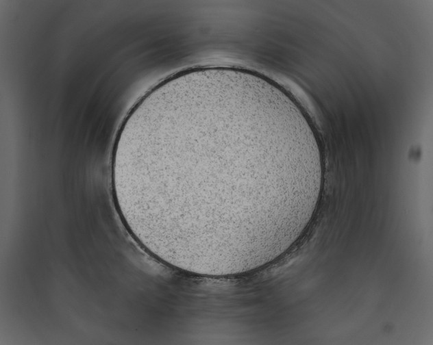X0000089421191200707131815