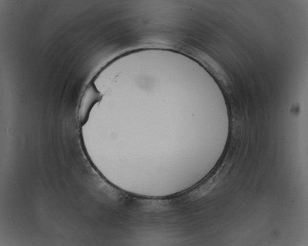 X0000089421192200707131815
