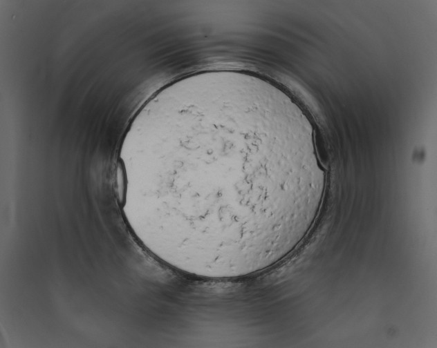 X0000089421193200707131815