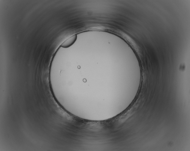 X0000089421194200707131815