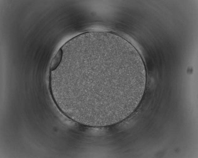 X0000089421195200707131815