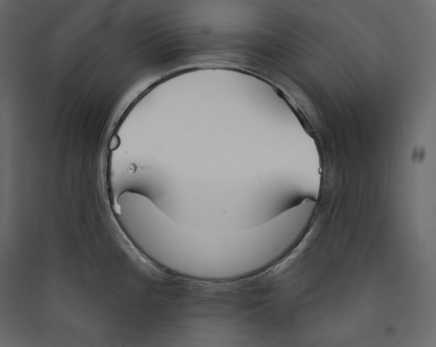 X0000089421196200707131815