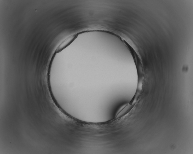 X0000089421197200707131815
