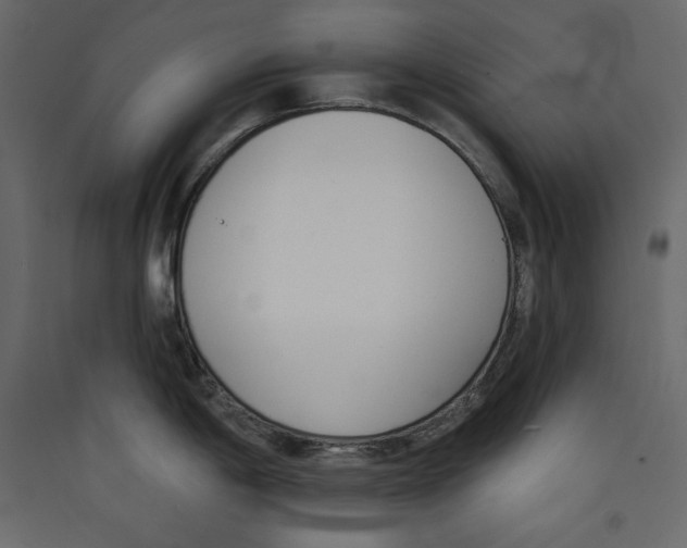 X0000089421198200707131815