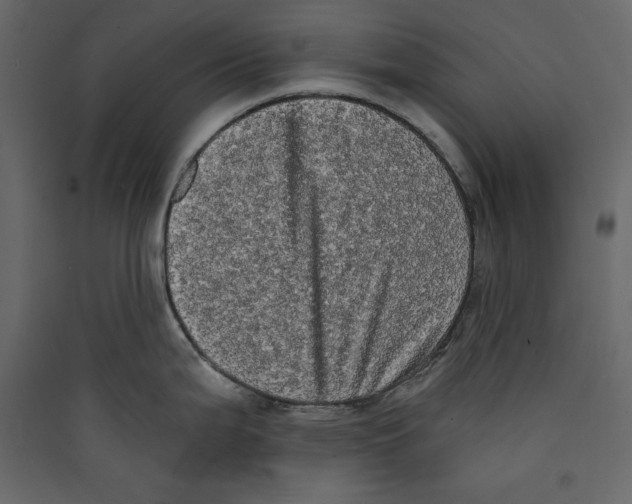 X0000089421199200707131815
