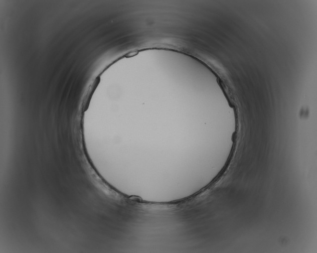 X0000089421200200707131815