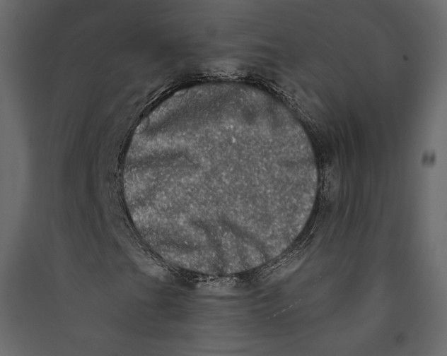 X0000089421201200707131815