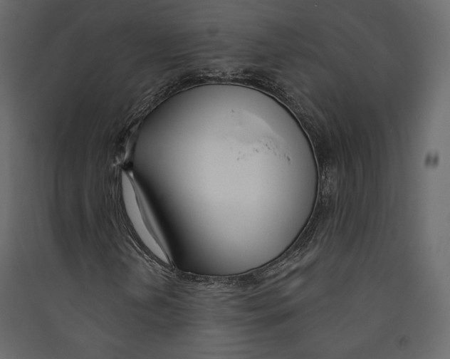 X0000089421202200707131815