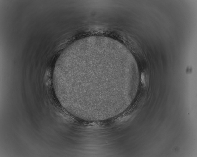 X0000089421203200707131815
