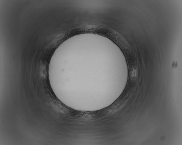 X0000089421204200707131815