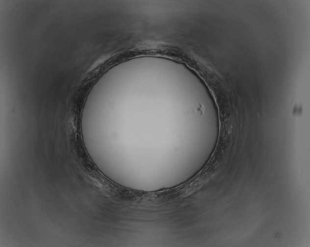 X0000089421206200707131815
