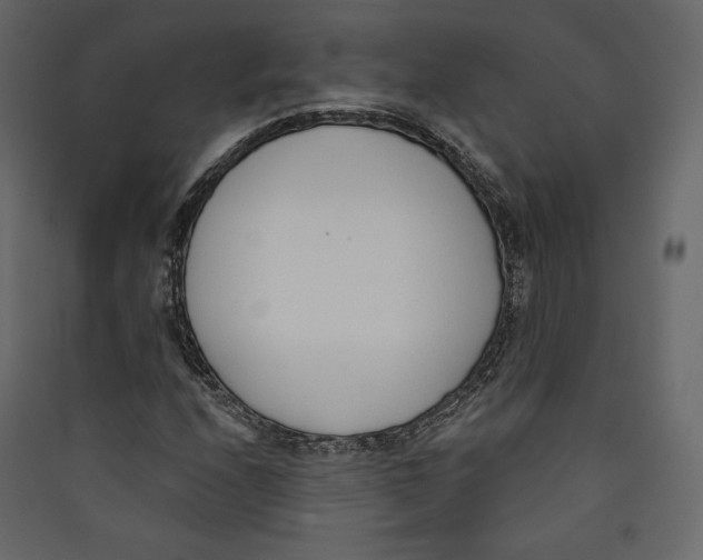X0000089421208200707131815