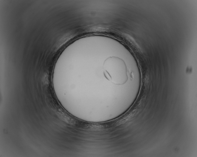 X0000089421209200707131815
