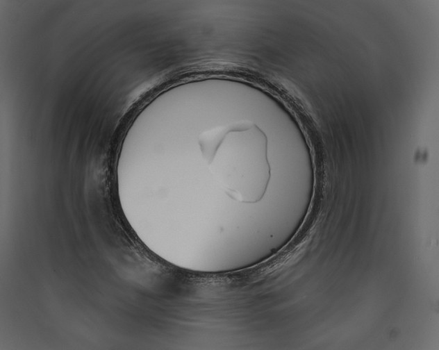 X0000089421210200707131815