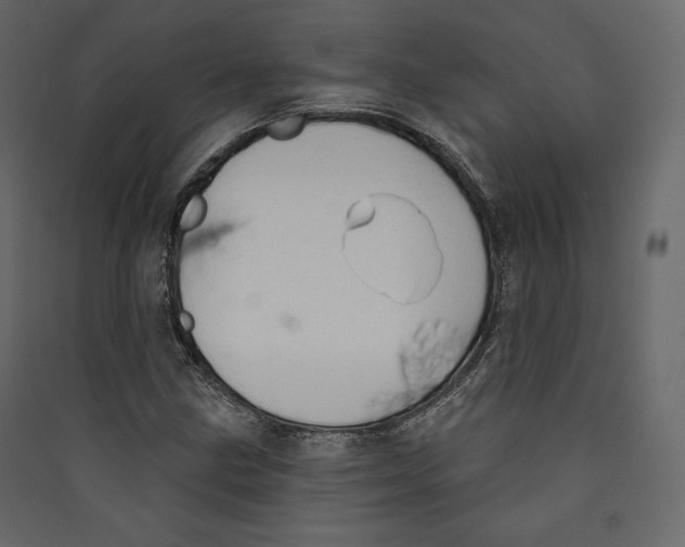 X0000089421211200707131815