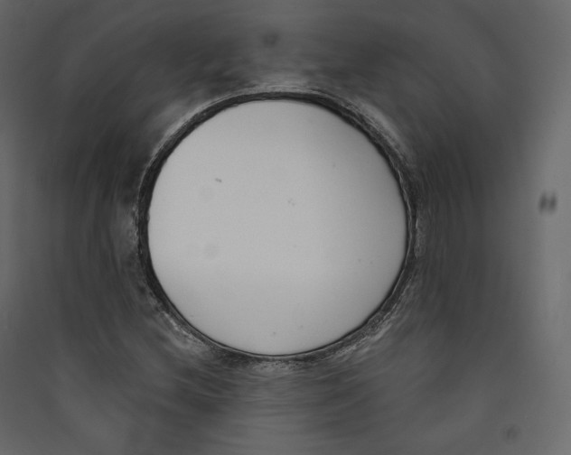 X0000089421212200707131815