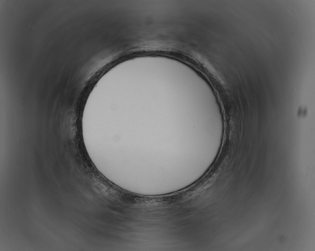 X0000089421213200707131815