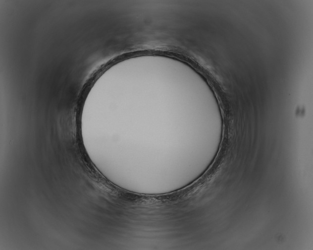 X0000089421214200707131815