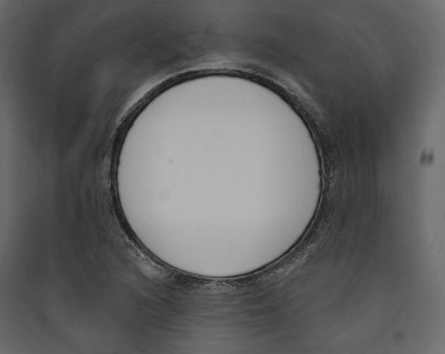 X0000089421216200707131815