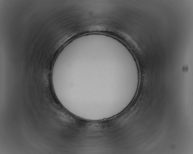 X0000089421217200707131815