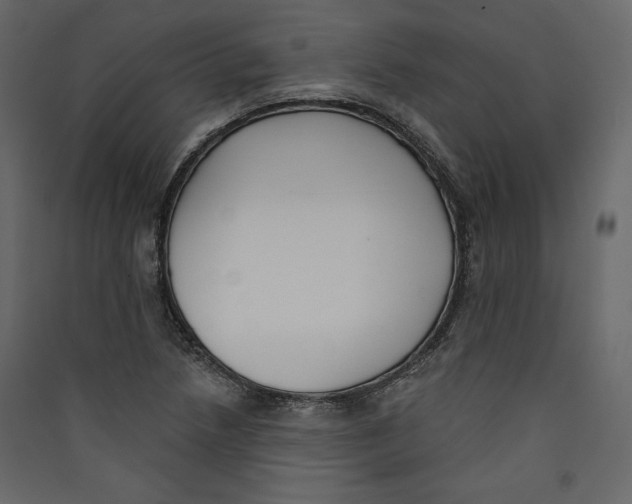 X0000089421218200707131815