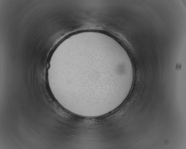X0000089421220200707131815