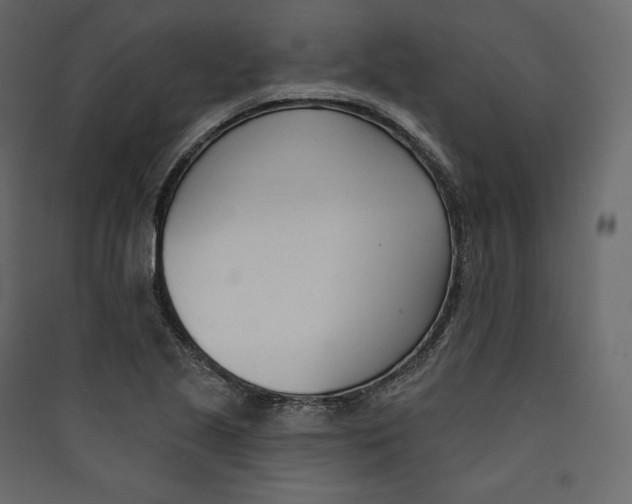 X0000089421221200707131815