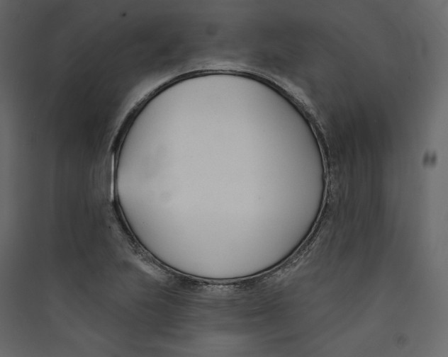X0000089421223200707131815