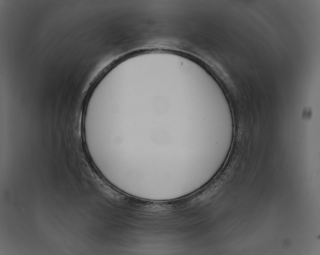 X0000089421224200707131815