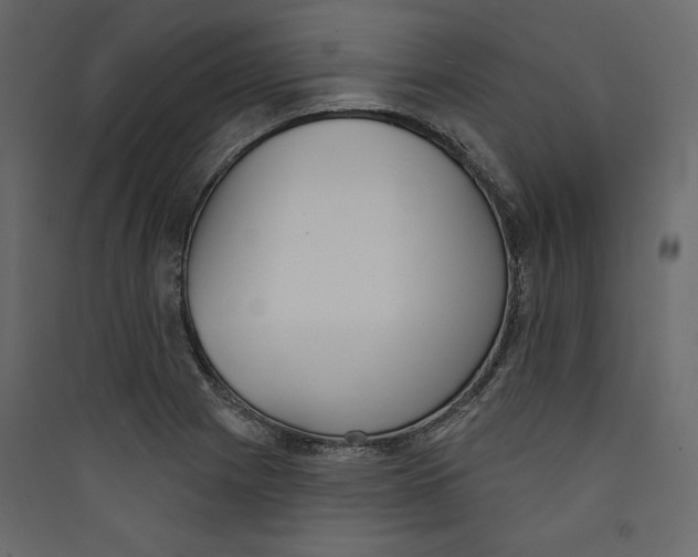 X0000089421225200707131815
