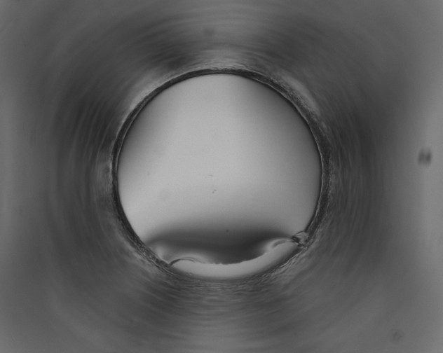 X0000089421226200707131815