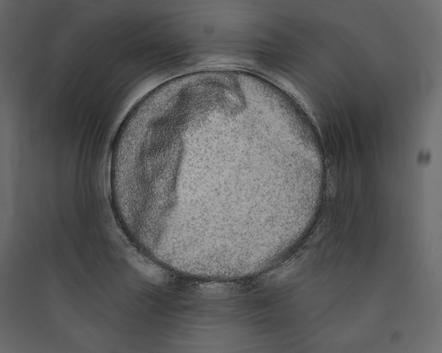 X0000089421227200707131815