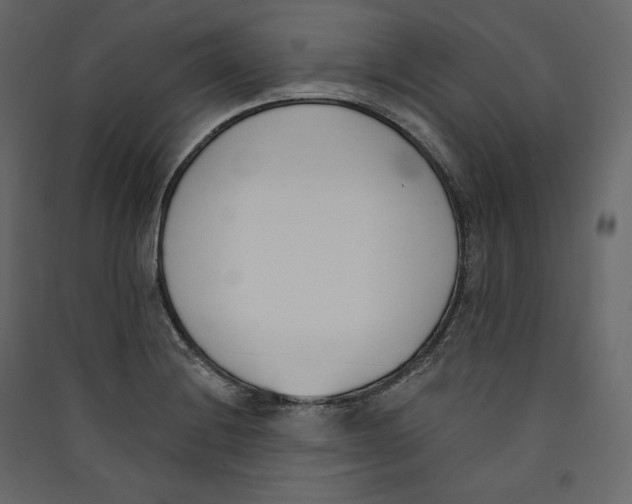 X0000089421228200707131815