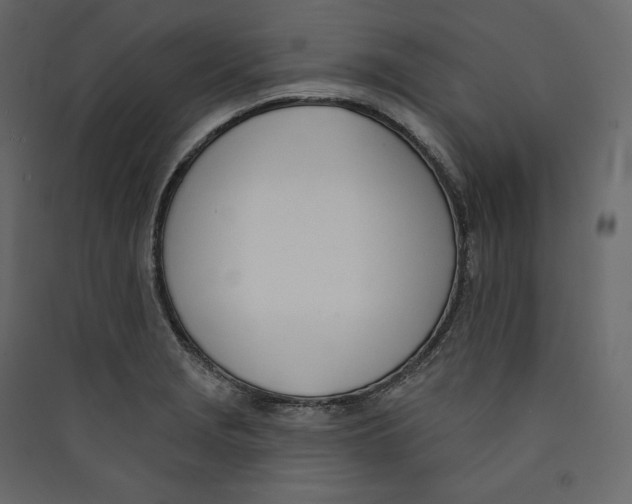 X0000089421229200707131815