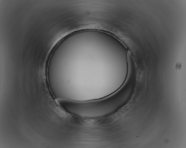 X0000089421230200707131815