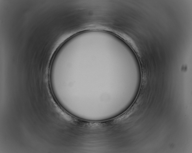 X0000089421231200707131815