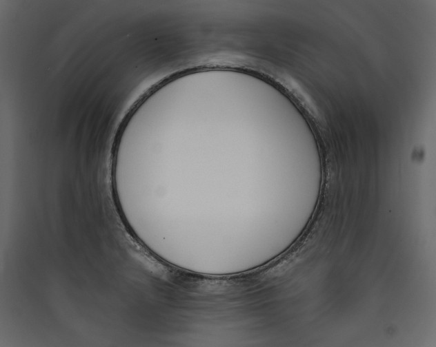 X0000089421232200707131815