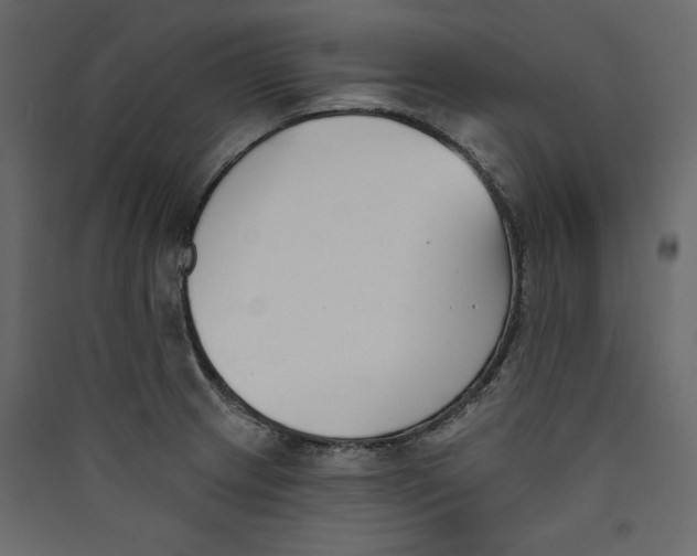 X0000089421233200707131815