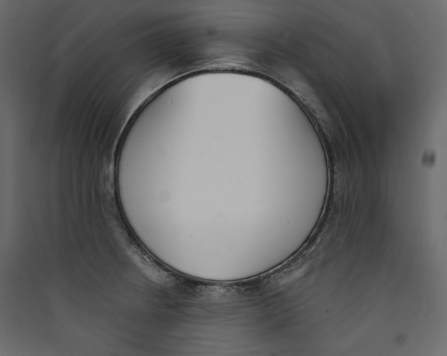 X0000089421234200707131815