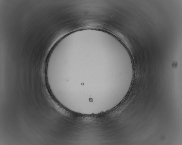X0000089421235200707131815