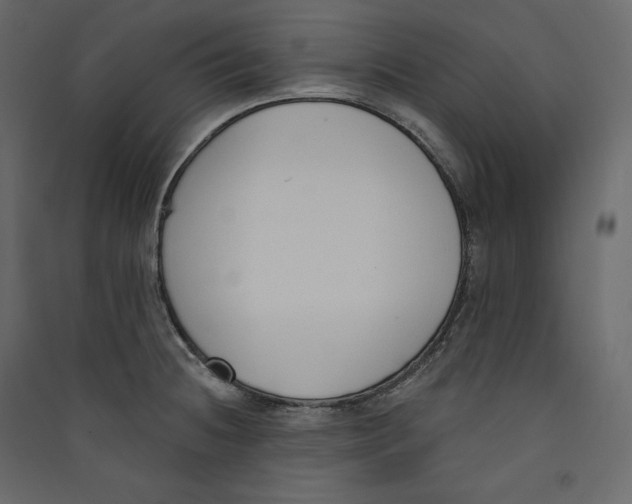 X0000089421236200707131815